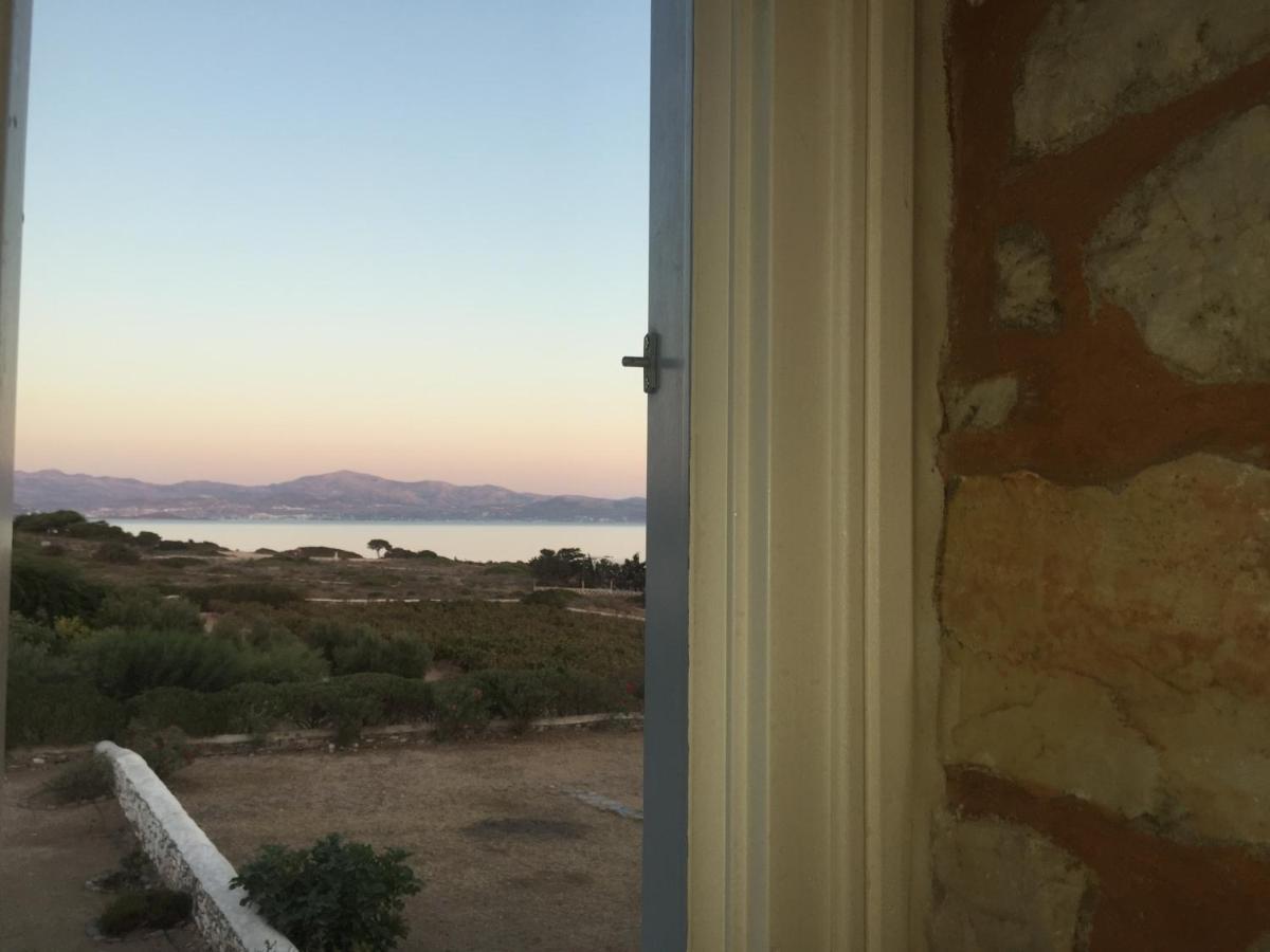 Villa Petradi Αμπελάς Εξωτερικό φωτογραφία