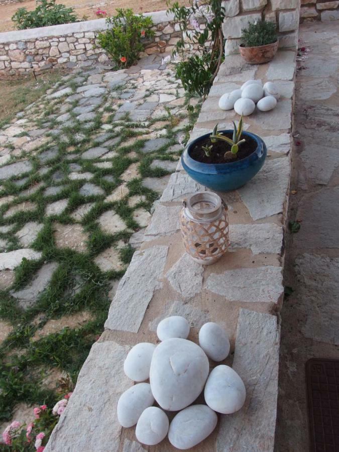 Villa Petradi Αμπελάς Εξωτερικό φωτογραφία